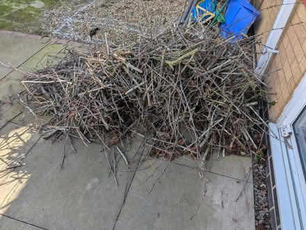 Photo of free Cherry wood kindling (Burnmill Farm LE16) #1