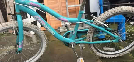 Photo of free 20" girls bike (Home EH22) #3