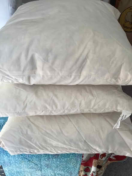 Photo of free Cushion inners (Pant y dwr LD6) #1