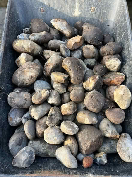 Photo of free Mixed River Cobbles (East Chesterton, Cambridge) #2