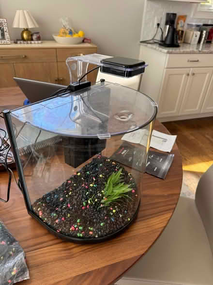 Photo of free Fish tank (Downtown Cary) #1