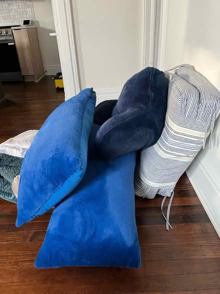 Photo of free Pillows (Kings park west) #1