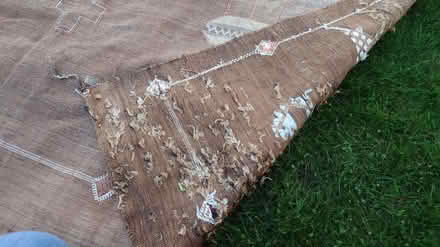 Photo of free Morroccan hand woven rug (Tonbridge) #4