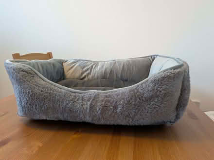 Photo of free Cat bed (Broughton MK10) #2