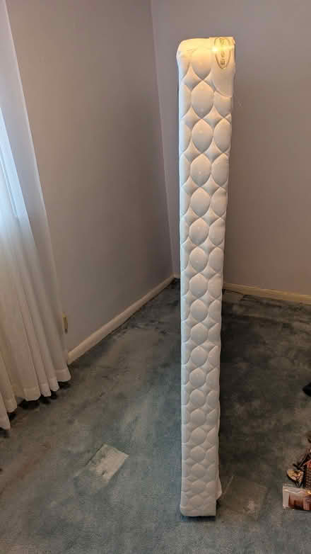 Photo of free Queen size low profile box spray (Renton Highlands) #1