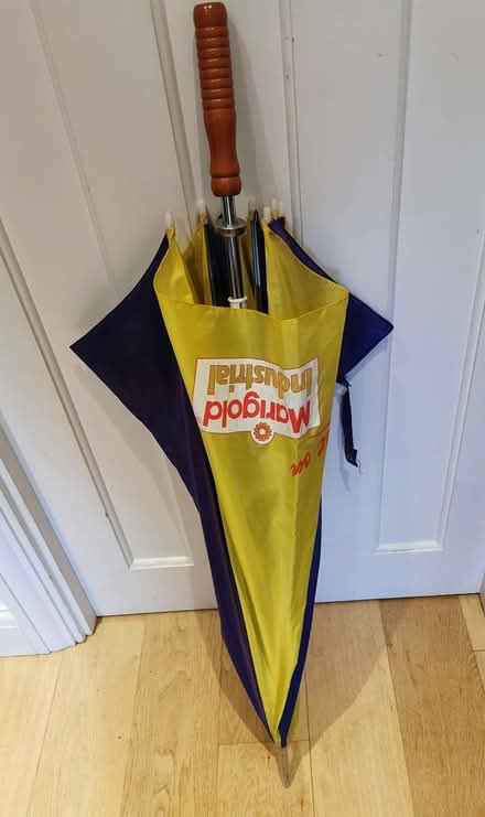 Photo of free Golf umbrella (Chingford E4) #1