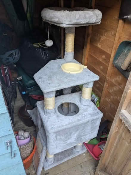 Photo of free Cat tree (Church crookham) #1