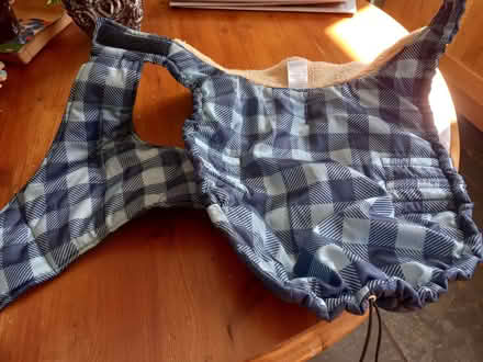 Photo of free Lined dog coat (Watton at Stone SG14) #2