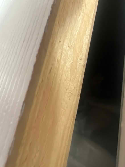 Photo of Wood (Llanbradach CF83) #1