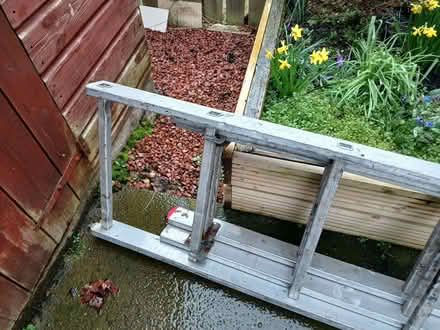 Photo of free Aluminium extending ladders (Jenny Lind G46) #3