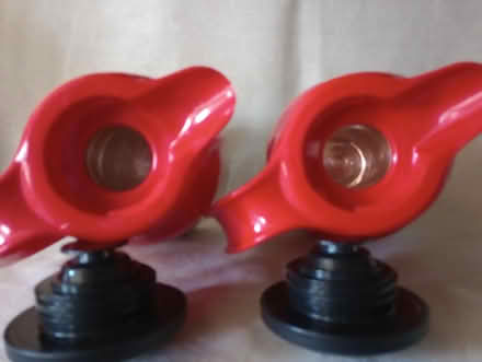 Photo of free Insulated jugs (Kingsway) #2