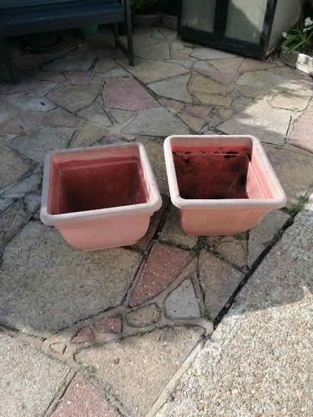 Photo of free Plant pots (Langney BN23) #1