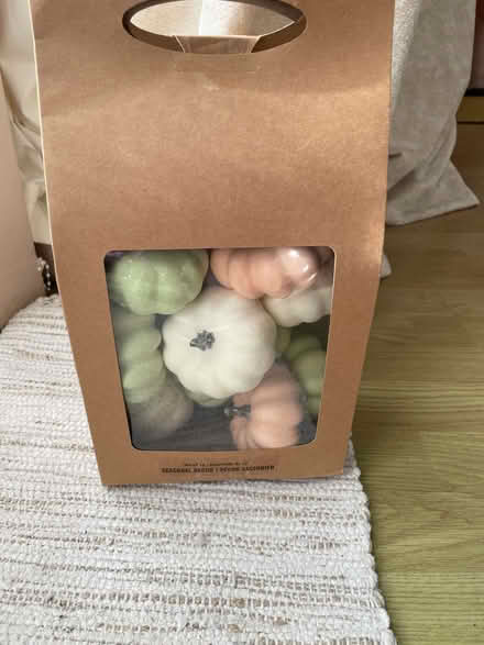Photo of free Box of pumpkin decorations, pastel colours (Seven Dials BN1) #1