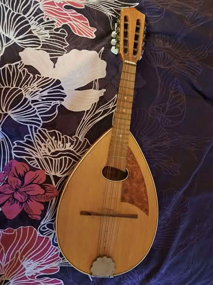 Photo of free Mandolin/ Ukulele (Withdean BN1) #1