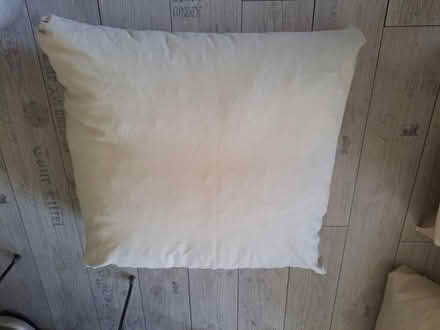 Photo of free Large Floor Cushions x2 - Brockley (Crofton Park, Brockley) #2