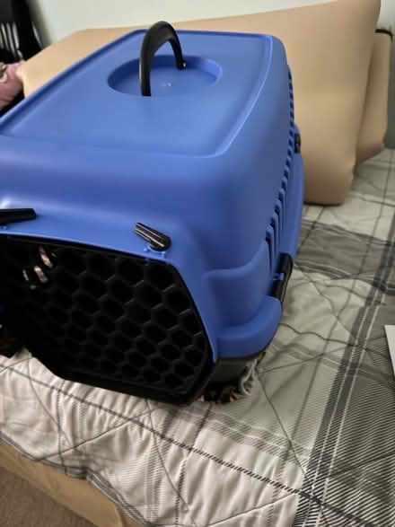 Photo of free Pet Carrier (Henwick RG19) #3