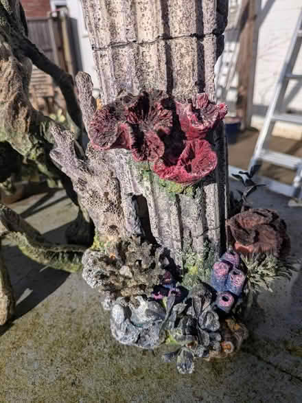 Photo of free Aquarium ornaments and plants (Balsall common CV7) #2