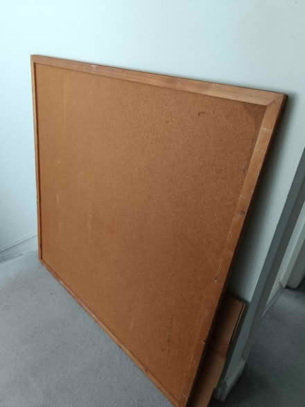 Photo of free Large cork board/pin board (Roath CF24) #1