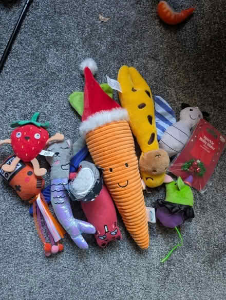 Photo of free Cat toys (Seven dials Brighton) #1
