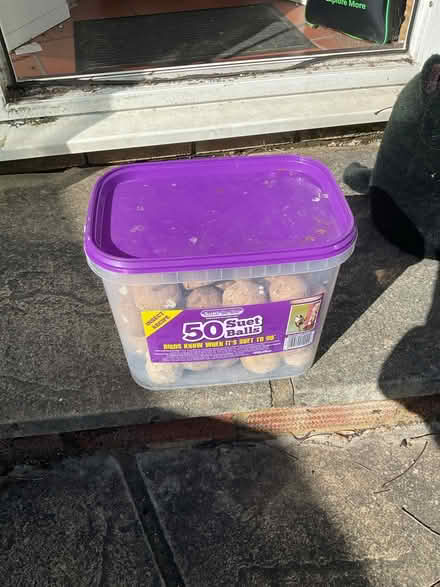 Photo of free Bird Suet Ball Food (RG30 Tilehurst) #1