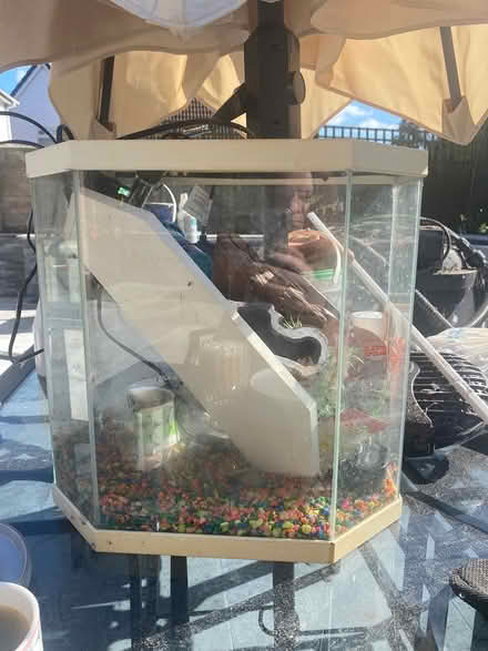 Photo of free Fish tank (Kempshott RG22) #1