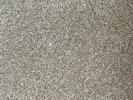 Photo of free Felt backed carpet lots of pieces (Walton, Stone ST15) #4