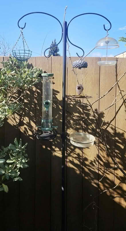 Photo of free Bird Feeder (Canning Town E16) #1