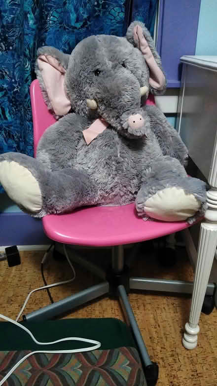 Photo of free plush animal- elephant (Albany) #1