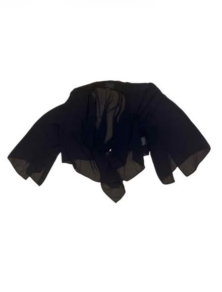 Photo of free Alex Evenings Woman’s Sheer Top (Brooklyn Storage) #1