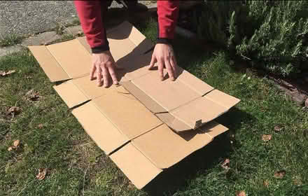 Photo of cardboard boxes (Abbey Wood SE2) #1