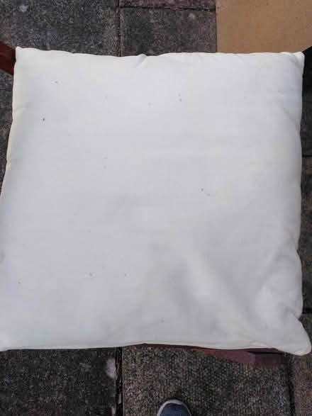 Photo of free Outdoor Cushion (Ecclesall, S11) #2
