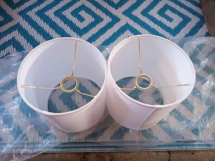 Photo of free lamp shades (Town of LaGrange) #1