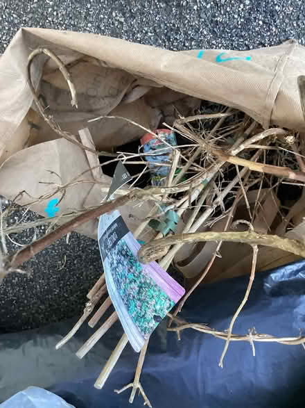 Photo of free Wooden plant boxes (Shirley CR0) #3