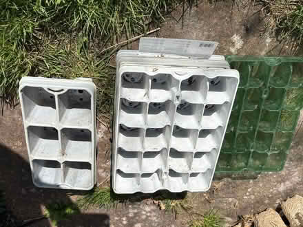 Photo of free Seed trays (Eastbourne BN20) #1
