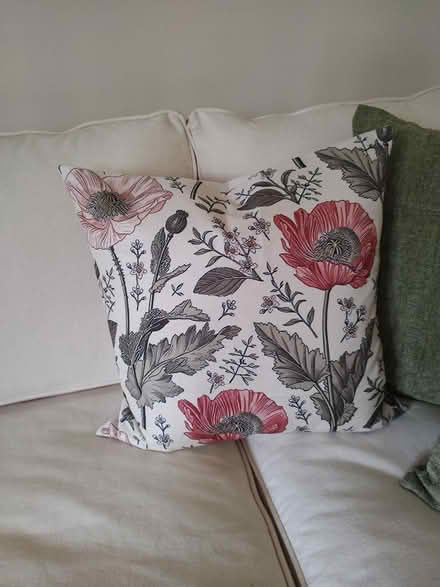 Photo of free 2 new pillow covers (Odenton) #2