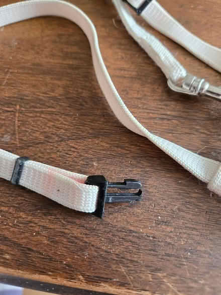 Photo of free Small Cat Harness (Aylmer, Qc) #2