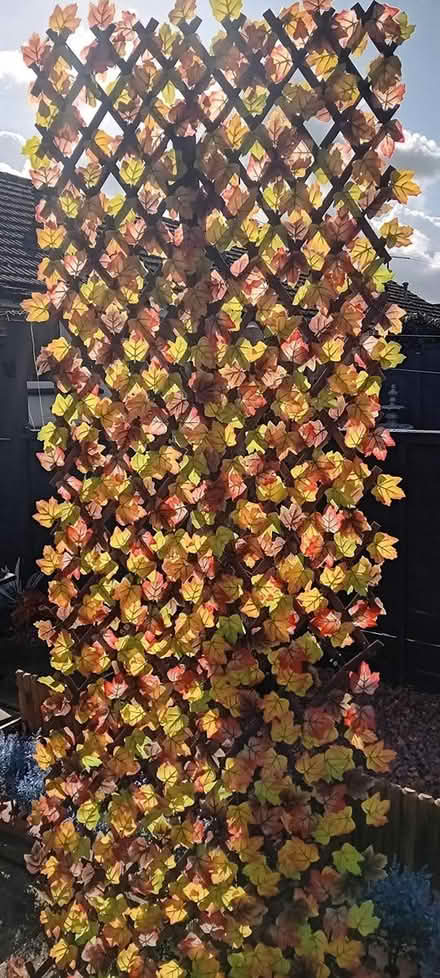 Photo of free Artificial Plant Trellis x 4 (Bottisham) #2