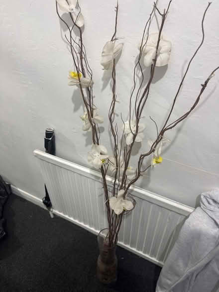 Photo of free Decorative plant pot (Enfield EN3) #1