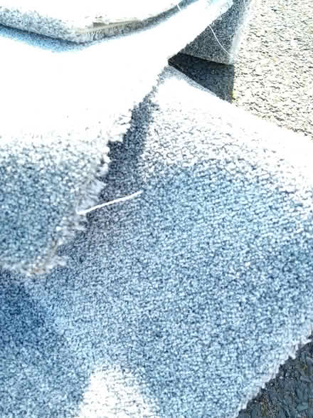 Photo of free Grey carpet offcuts! Brand new carpet (Kingston Vale SW15) #1