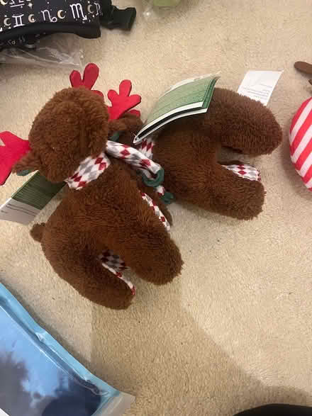 Photo of free Dog items (Windsor) #3