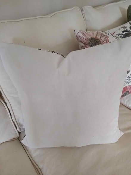 Photo of free 2 new pillow covers (Odenton) #3