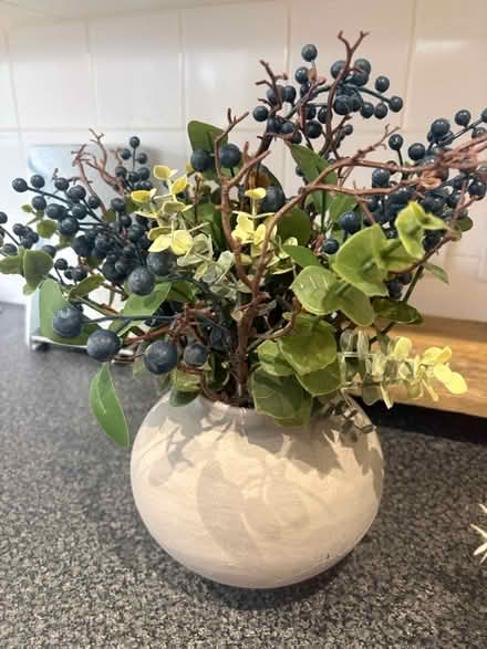 Photo of free Two faux plants (Victoria rd Edmonton N9) #2