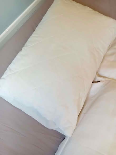 Photo of free Plump and squishy pillows! (Kingston Vale SW15) #4