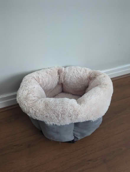 Photo of free Pet bed (Rawdon LS19) #1