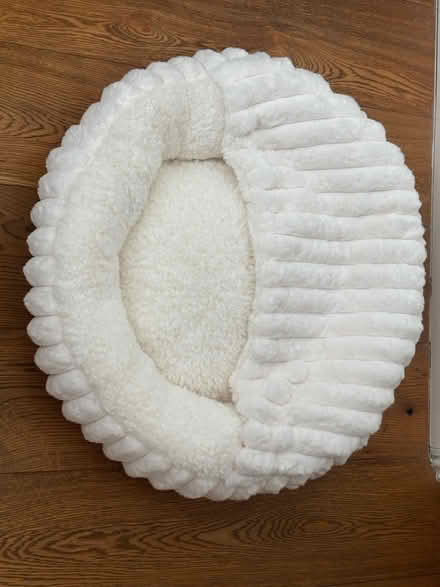 Photo of free Cat bed (N16 Nr Stoke Newington Common) #1