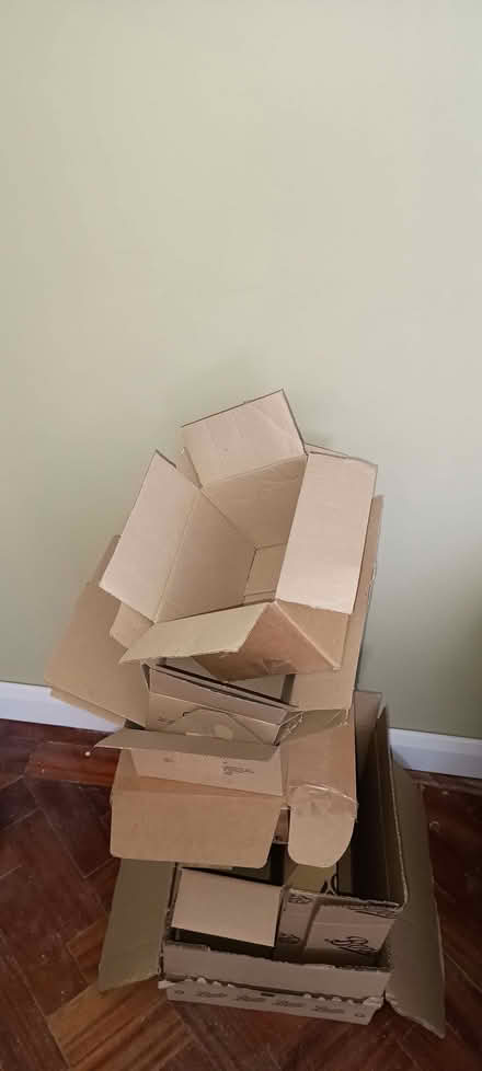 Photo of free Small cardboard boxes (Thornhill CF14) #2