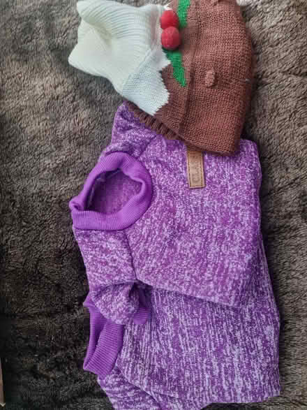 Photo of free 3 tiny dog / cat coats. Less than 4kg (Linden GL1) #1