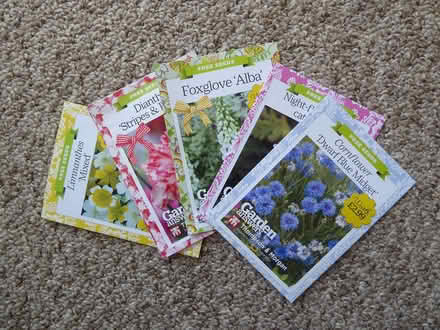 Photo of free Flower seeds (Vange SS16) #1