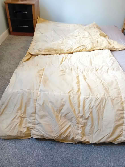 Photo of free Double duvet (Kingston Vale SW15) #1