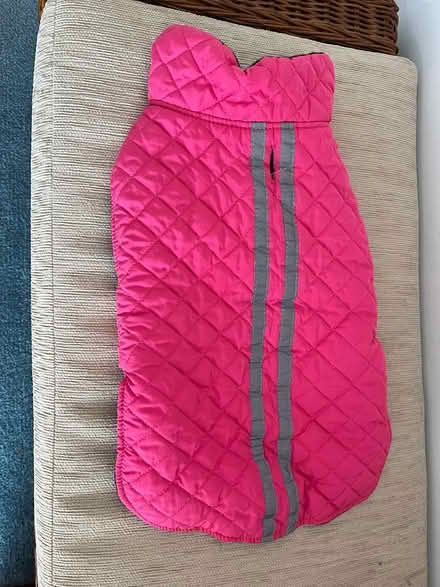 Photo of free pink quilted dog coat size L (Derwood, MD) #2